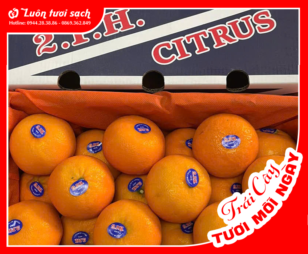 Nguyên Thùng Quýt Úc 9kg